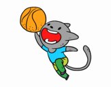 Gato jugando a baloncesto