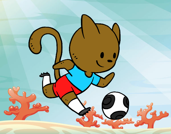 Gato jugando a fútbol