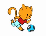 Gato jugando a fútbol