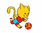 Gato jugando a fútbol