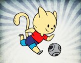 Gato jugando a fútbol