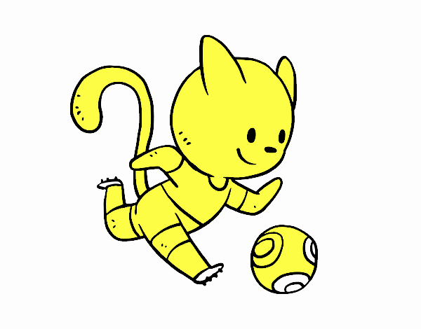 Gato jugando a fútbol