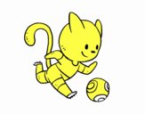 Gato jugando a fútbol