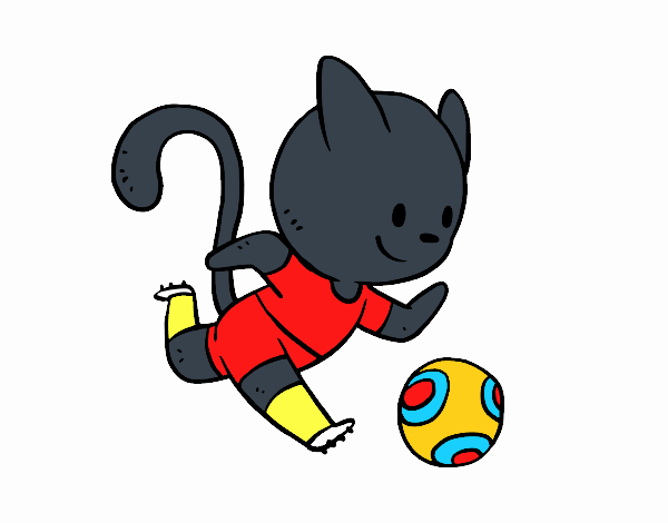 Gato jugando a fútbol