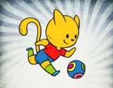 Gato jugando a fútbol