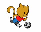 Gato jugando a fútbol