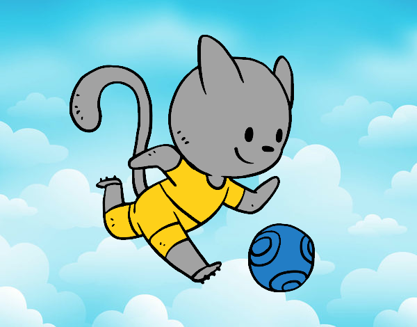 Gato jugando a fútbol