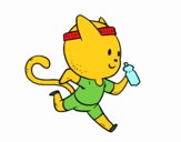 Gato runner