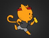 Gato runner