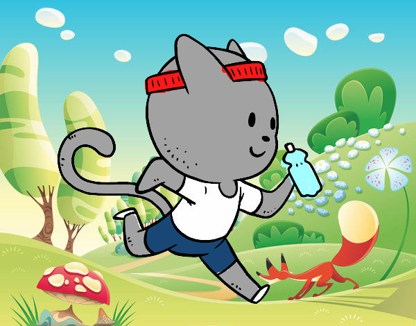 Gato runner