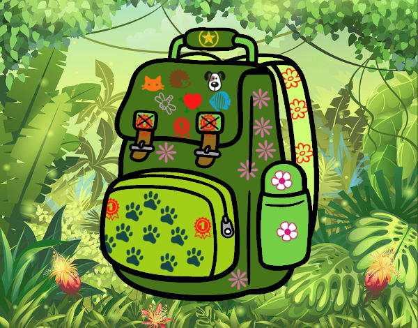 Mochila de montaña