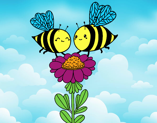 Pareja de abejas