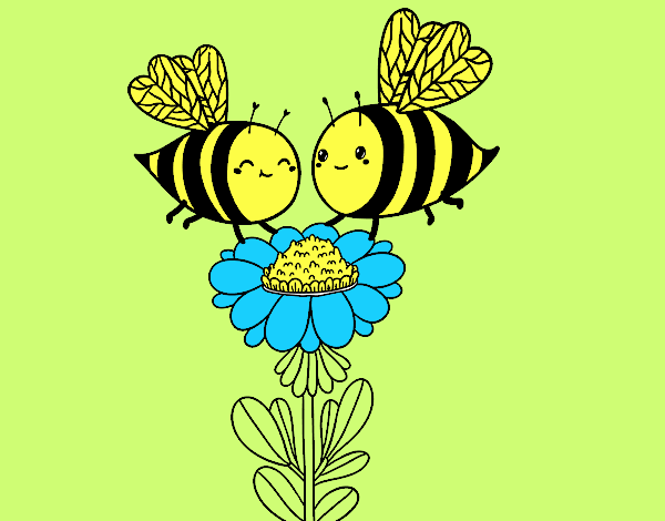 Pareja de abejas