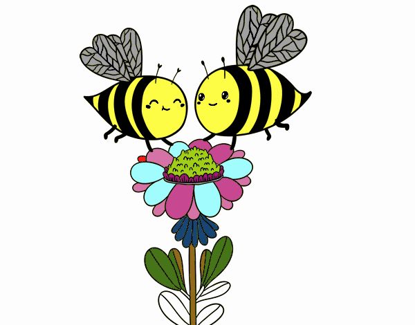 Pareja de abejas