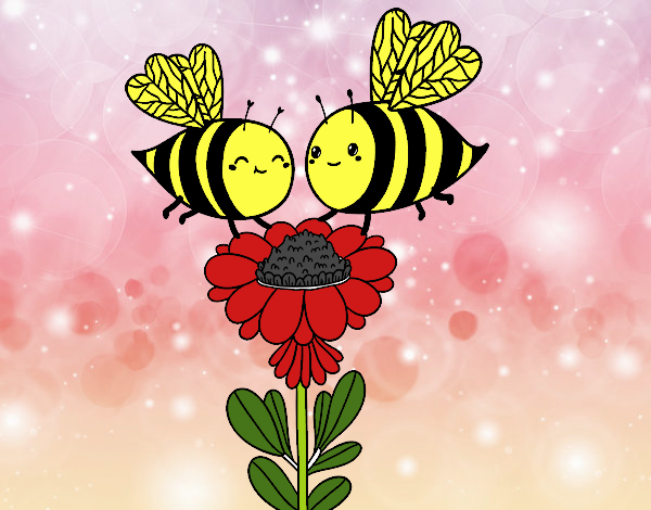 Pareja de abejas