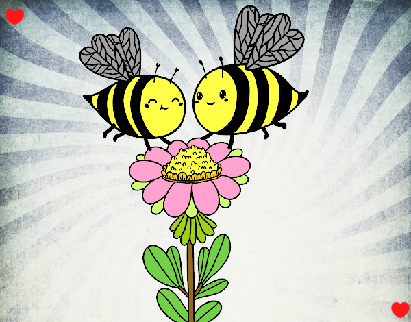 Pareja de abejas