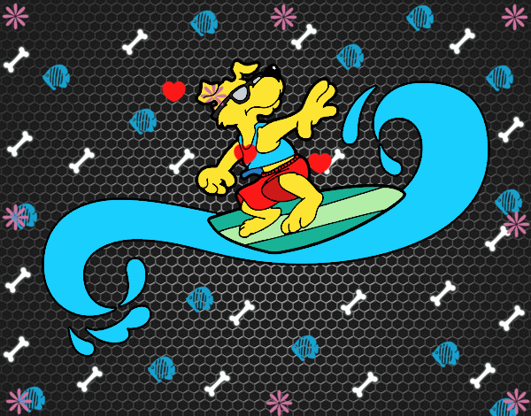 Perro surfeando