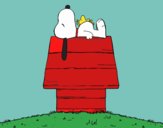 Snoopy durmiendo