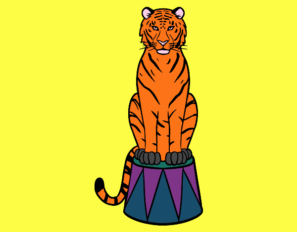 Tigre de circo