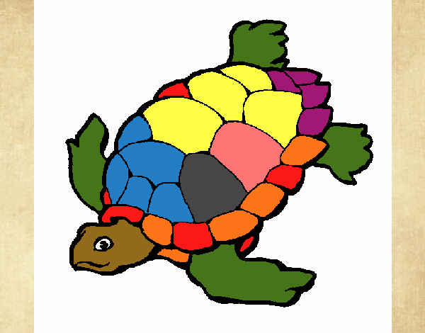 Tortuga