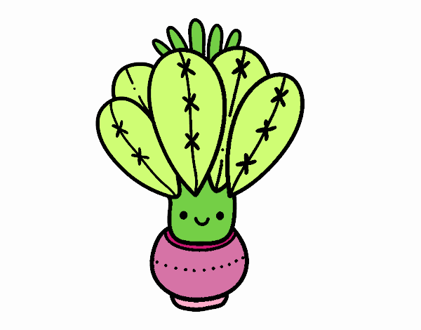 Un cactus con flor