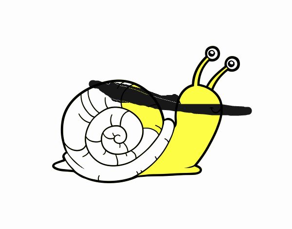 Un caracol