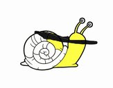 Un caracol