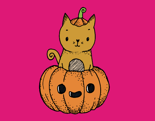 Un gatito de Halloween