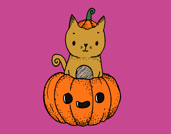 Gatito Haloween