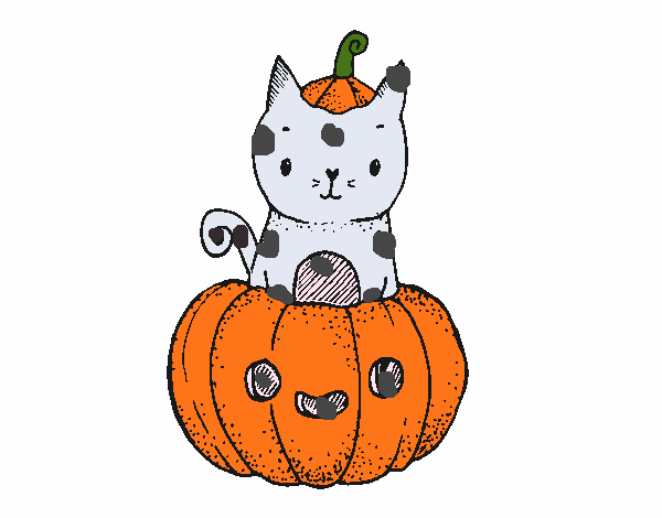 Un gatito de Halloween