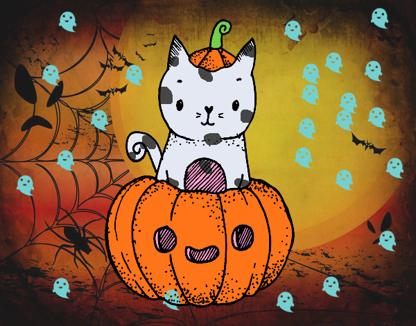 Un gatito de Halloween