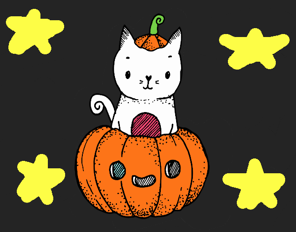 Un gatito de Halloween