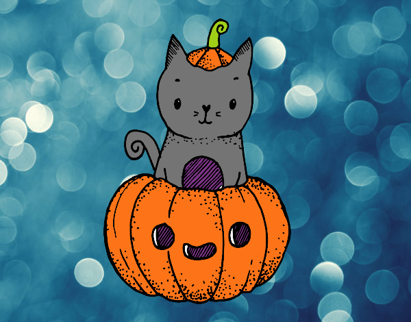 Un gatito de Halloween