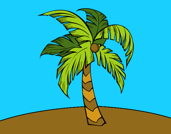 Una palmera