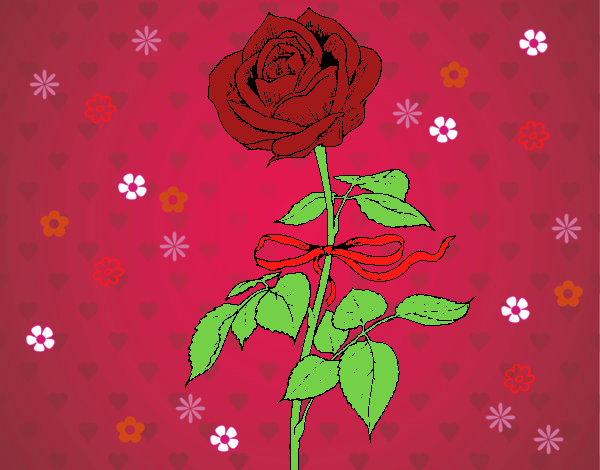 Una rosa