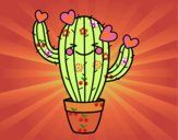 Cactus corazón