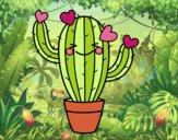 Cactus corazón