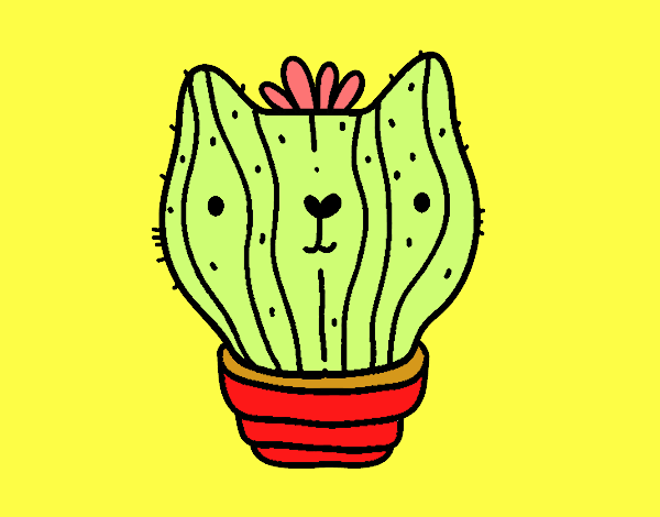 Cactus gato