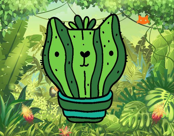 Cactus gato