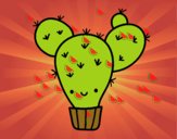 Cactus nopal