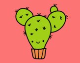 Cactus nopal