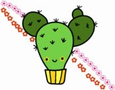 Cactus nopal