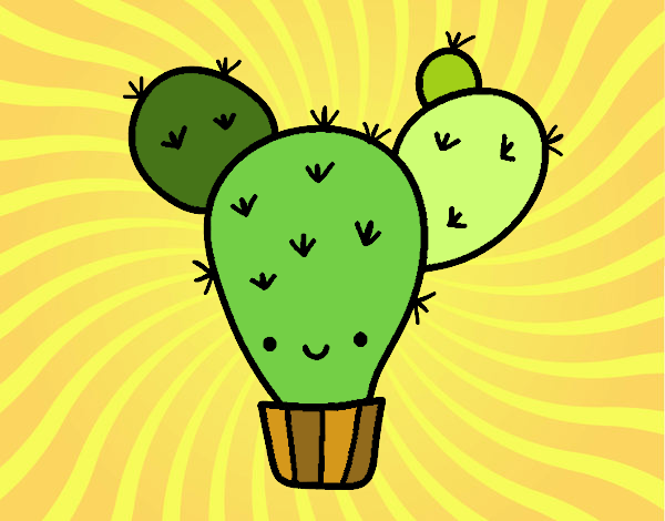 cactus