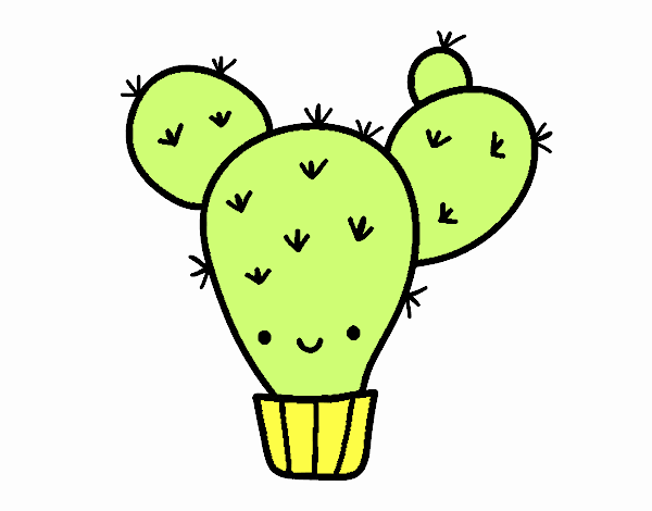 Cactus nopal