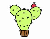 Cactus nopal