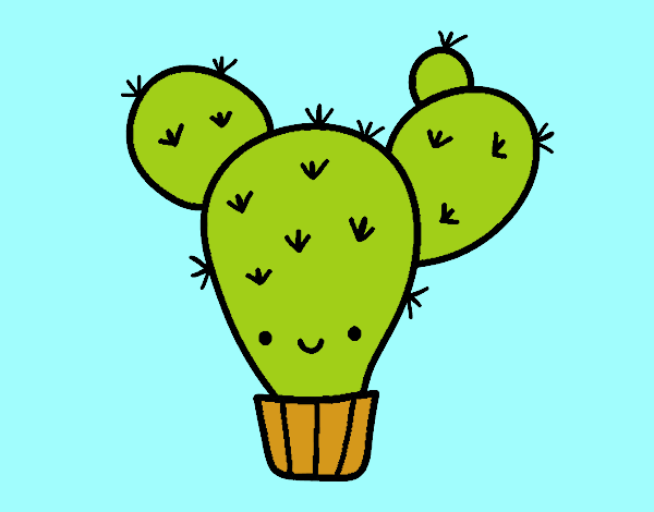 Cactus nopal