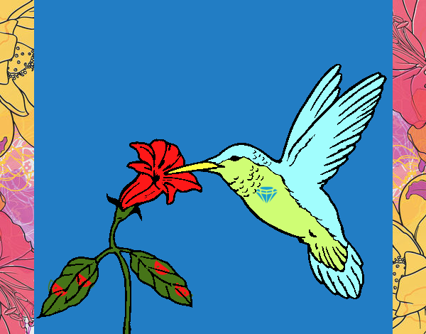 Colibrí y una flor