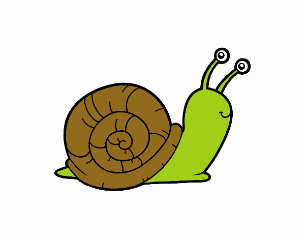 el caracol