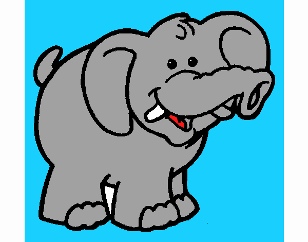 Elefante 6