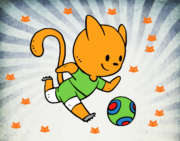 Gato jugando a fútbol